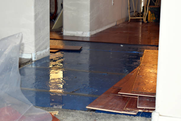 Professional Sewage Cleanup technician working in Theresa, WI